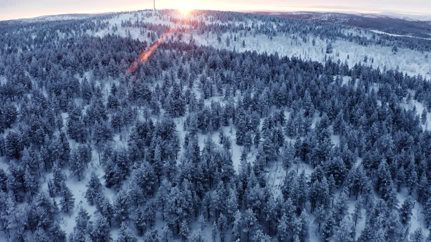 The sun rises over a snow covered forest
