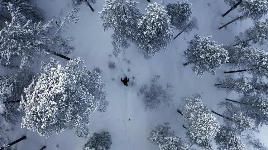 Overhead view of a hiker using a pair of hiking sticks to walk through a snowy woodland