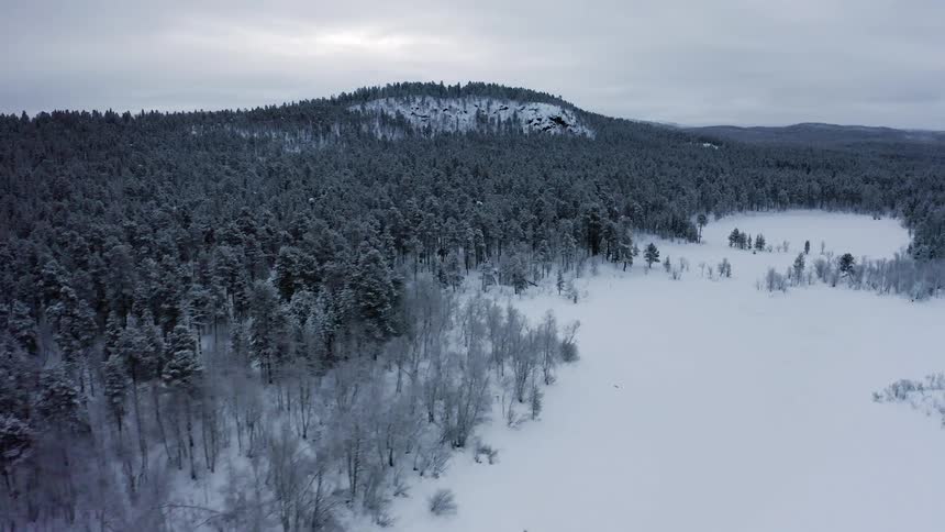 Snow covers forest mountains and clearing