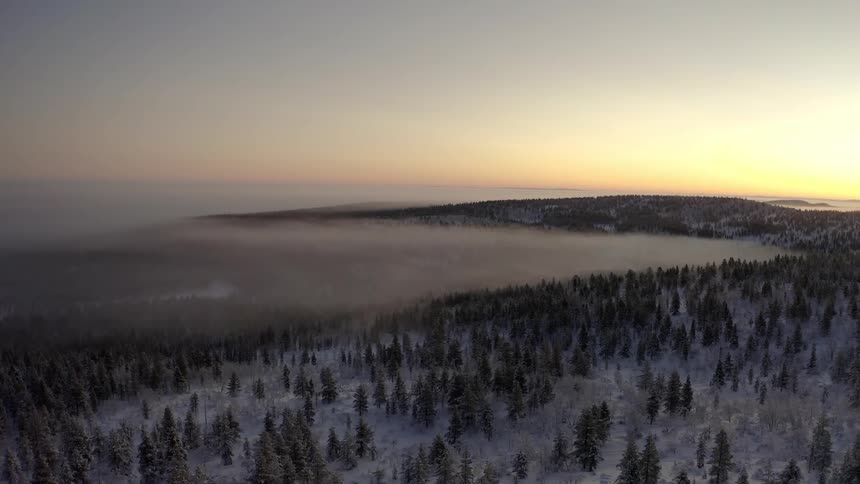 Aerial view of pine tree forest covered in clouds at sunset in winter