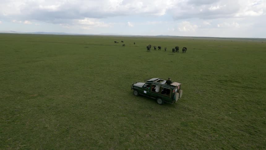 A vehicle is driving across a grass field with animals on the side