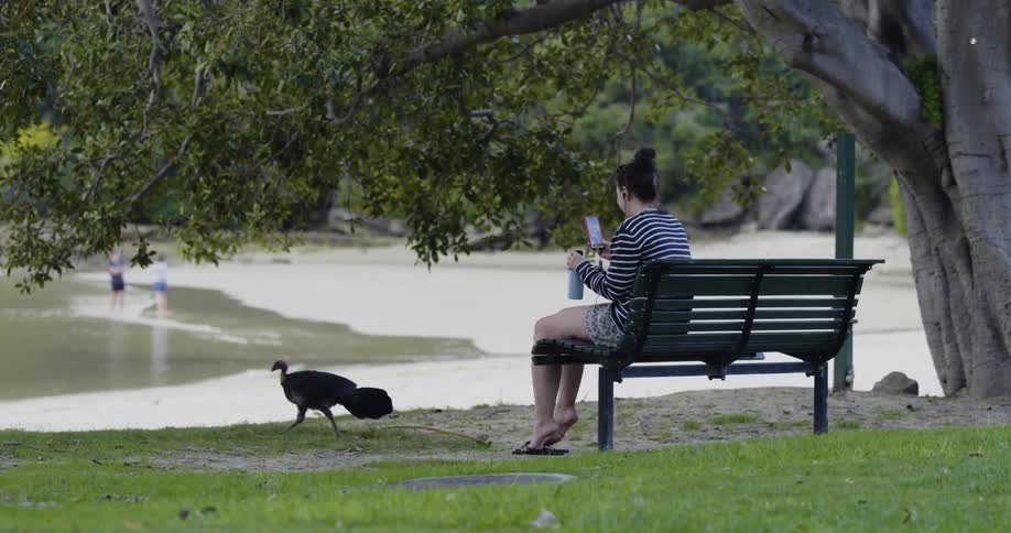 Young woman listening to music on park bench under tree near beach