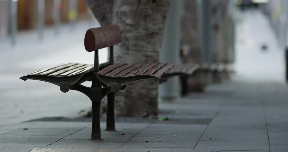 Park benches are placed between a line of trees in an area with concrete