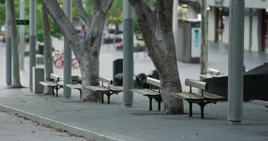 Benches and trees in the park with bicycles off to the side