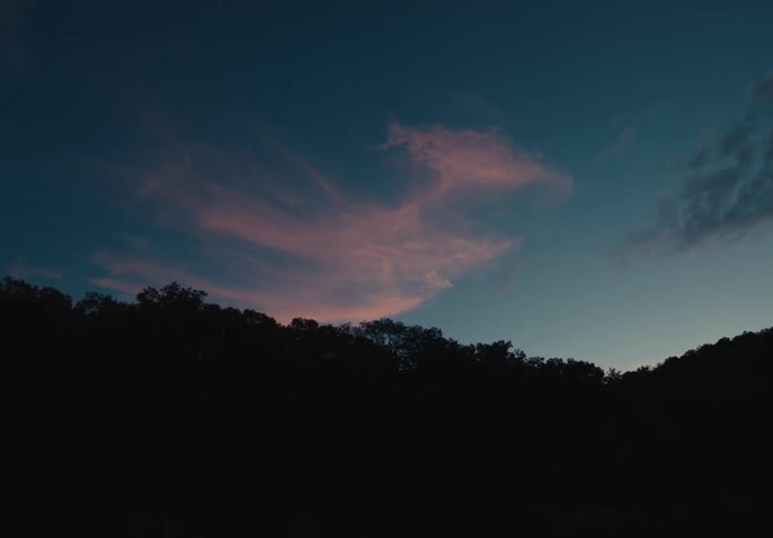 A landscape view of a forest is displayed at night
