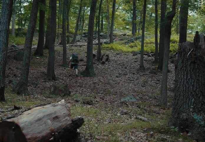 A man is hiking through a forest area