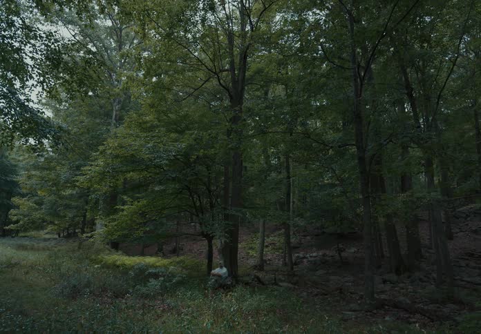 A man sits by a tree in the forest