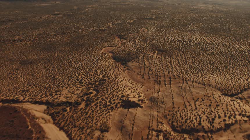 Scrub brush grows in a flat barren area