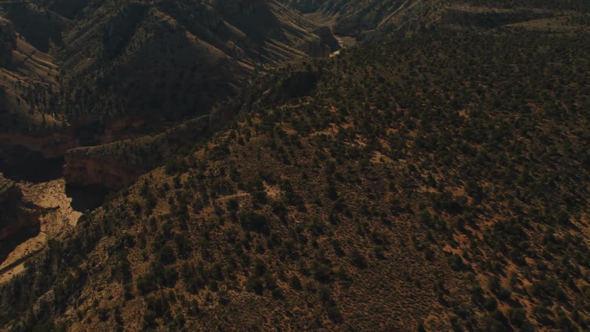 An aerial view of a forest and hills is displayed