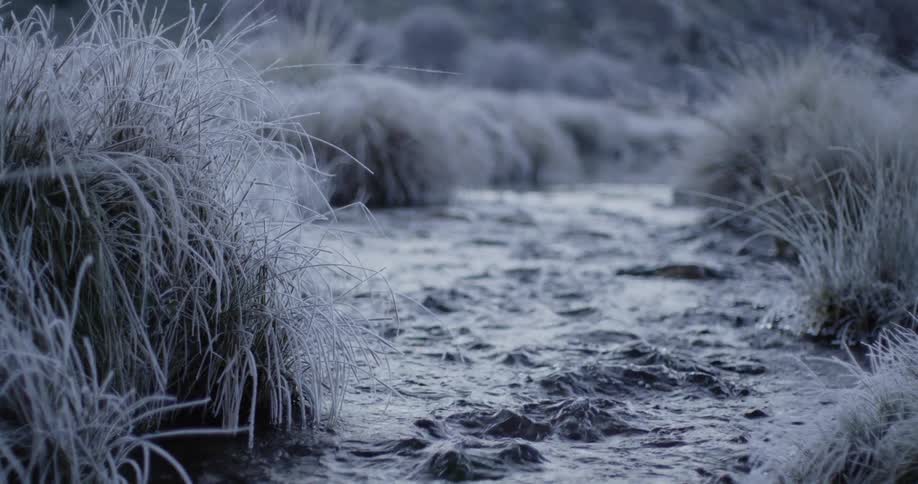 Small creek flows between the frozen bushes