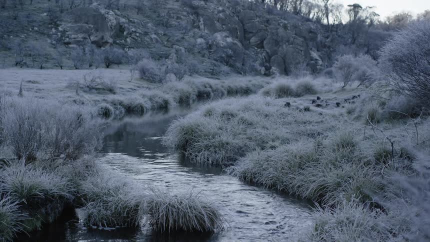 The small winding stream runs past the ice covered grass
