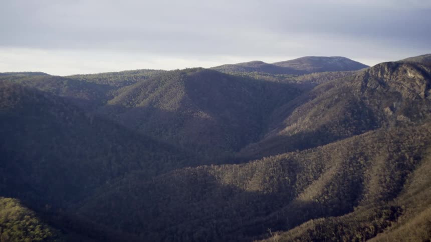 Mountain range covered in green vegetation