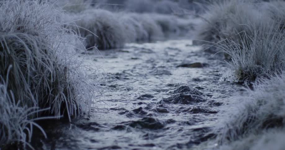 A stream running through a grassland on a gloomy day