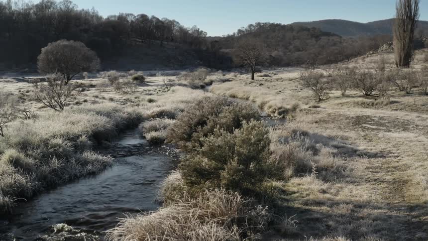 Frost covers the plants near a stream