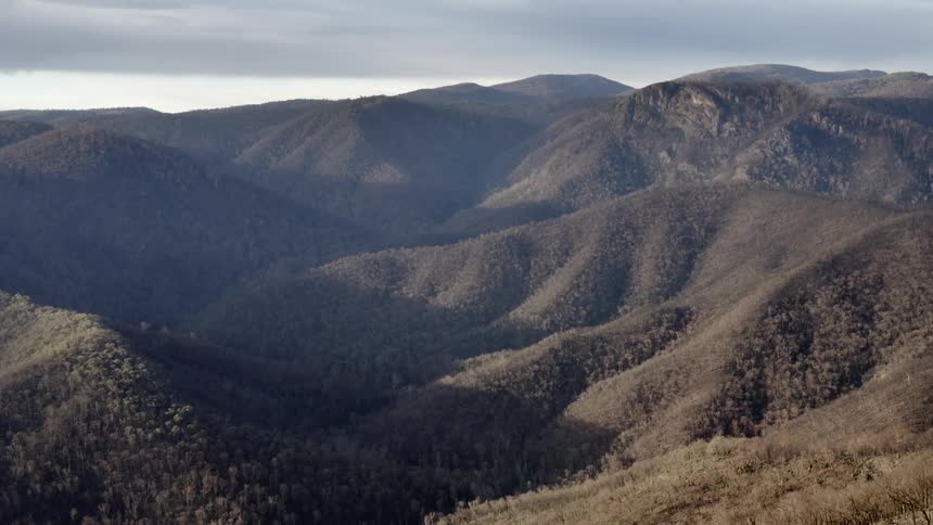 The mountains are covered with grass and trees