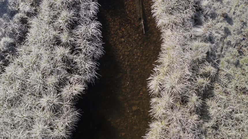 Birds eye view of a flowing river and shrubs along the river bed
