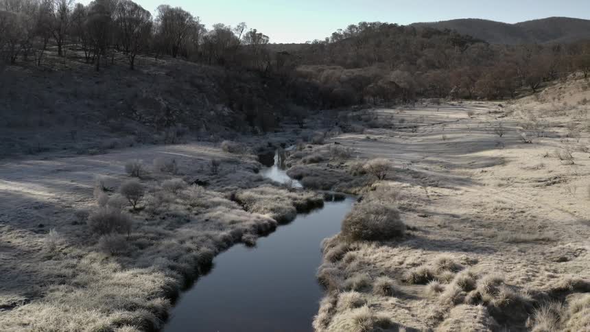 The stream water is calm in the wilderness