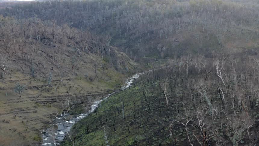 Bare trees cover the rolling hills near a stream