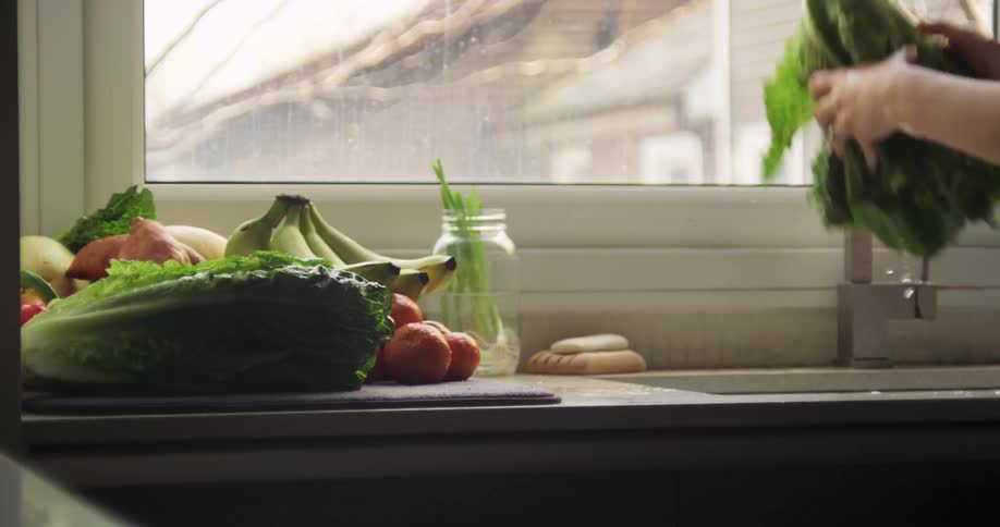 Person wearing sweatshirt drains lettuce over sink near window showing leafless trees