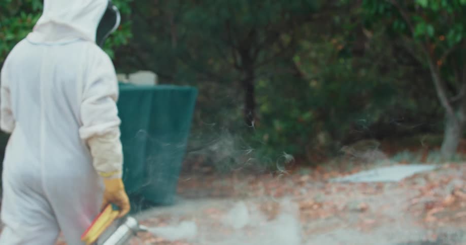 Beekeeper aproaching hive with smoker