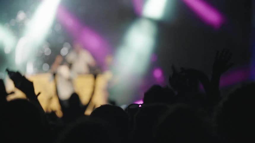 Crowd dances in front of a stage with a group performing under the colorful spotlights