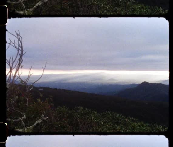 Leafless tree stands on slope leading to water and moutain