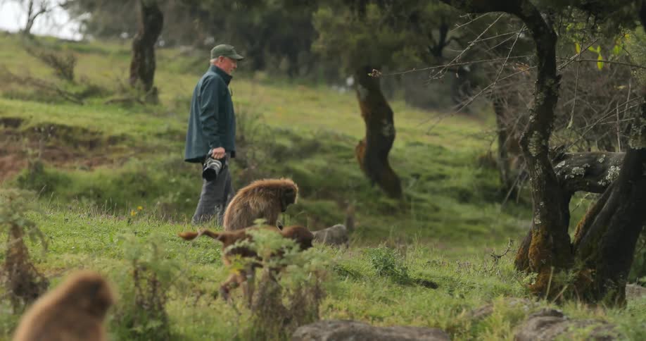 A man carrying a camera is walking downhill near some monkeys