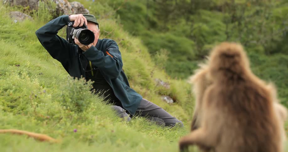 A man is leaning on a hill photographing monkeys
