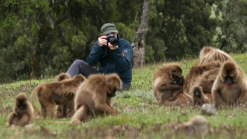 A man is sitting on a field photographing wildlife
