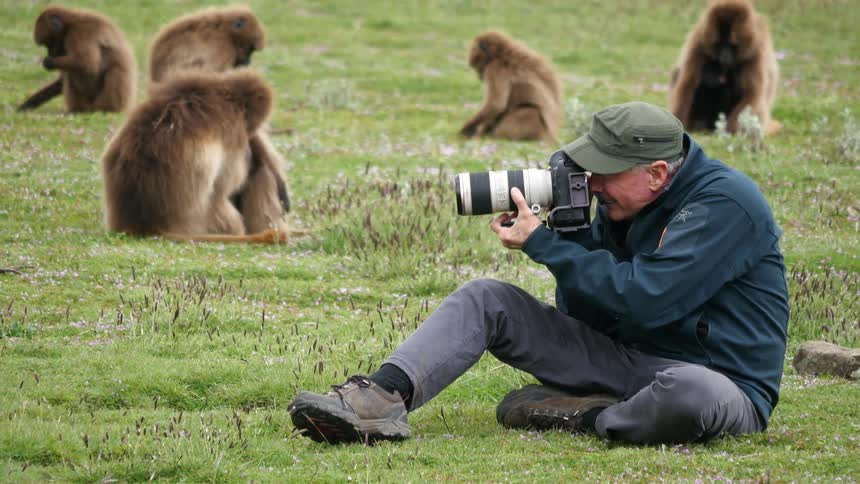 A man takes pictures near a group of monkeys