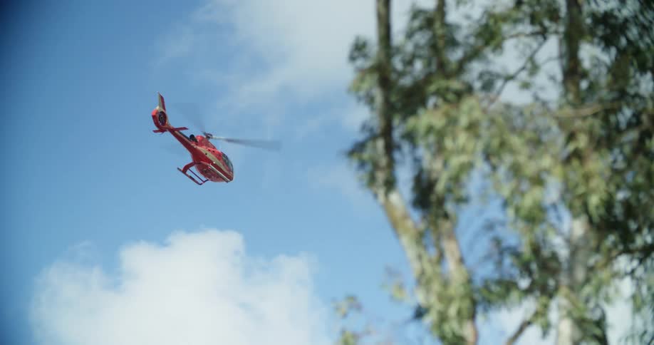 A helicopter flies high above the tree