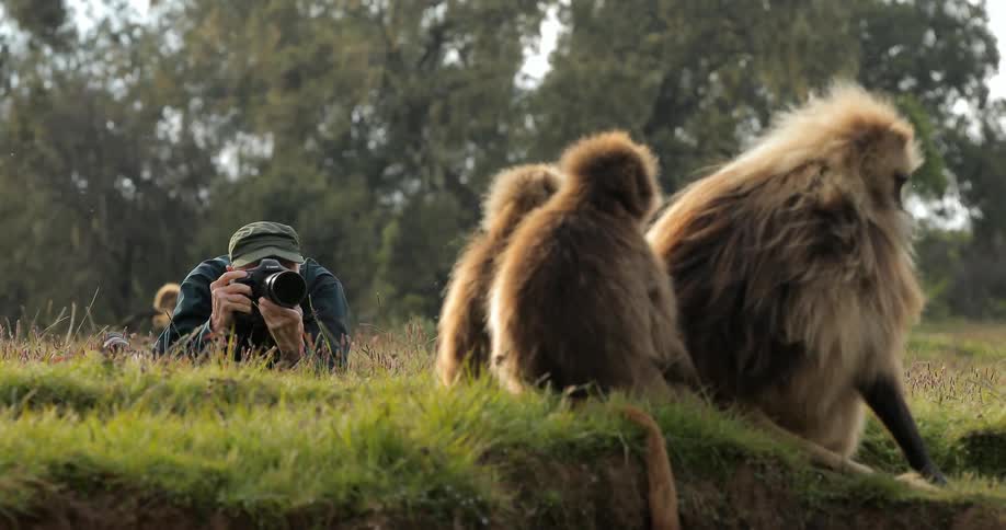 Photographer lies on ground taking pictures of monkeys