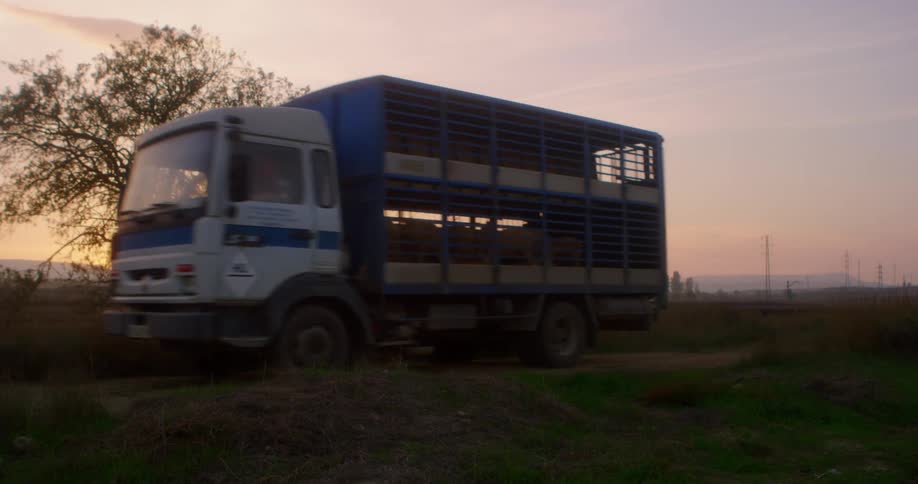 The truck moves along the road