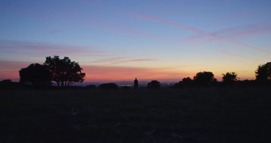 Man stands in mowed fields looking toward lights of distant city under red tinted sky