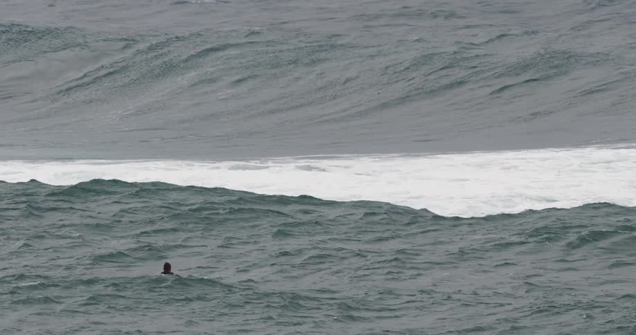 A person is floating on his surfboard in the ocean