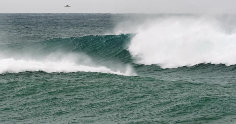 Surfers float over a wave as they paddle out and a large wave curls and breaks