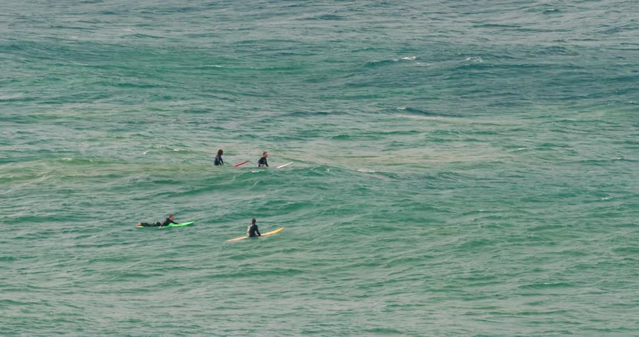 A group of surfers float on their boards in the ocean