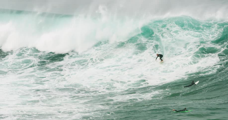 A surfer rides a large wave on a surfboard as a bird flies overhead