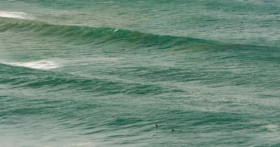 Two people are surfing in the ocean