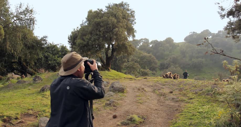 Two people are photographing wildlife on a sunny day