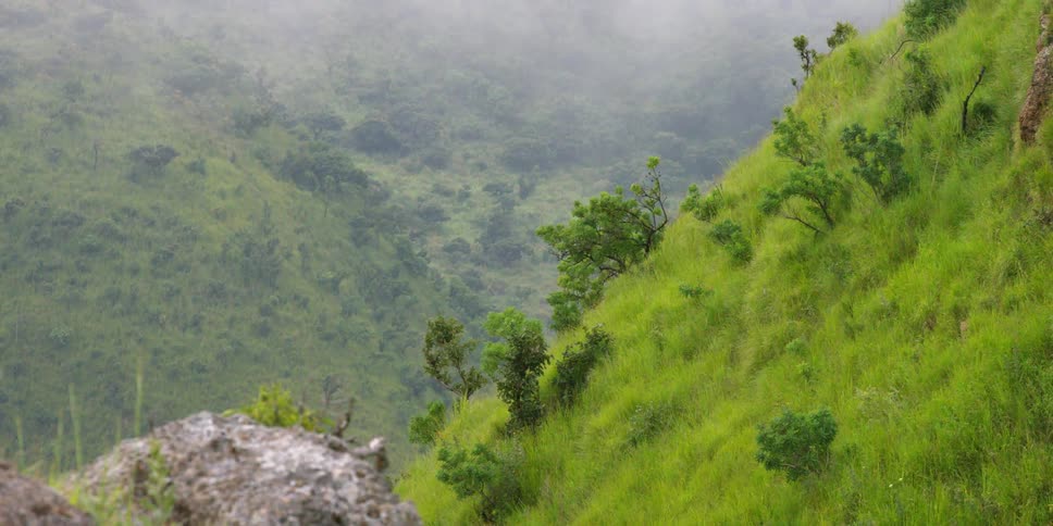 A mountain range is covered with fog and grass