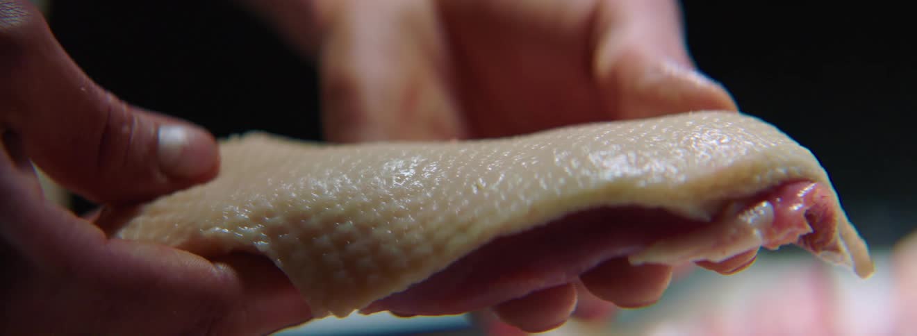 A person holding a piece of chicken in their hands