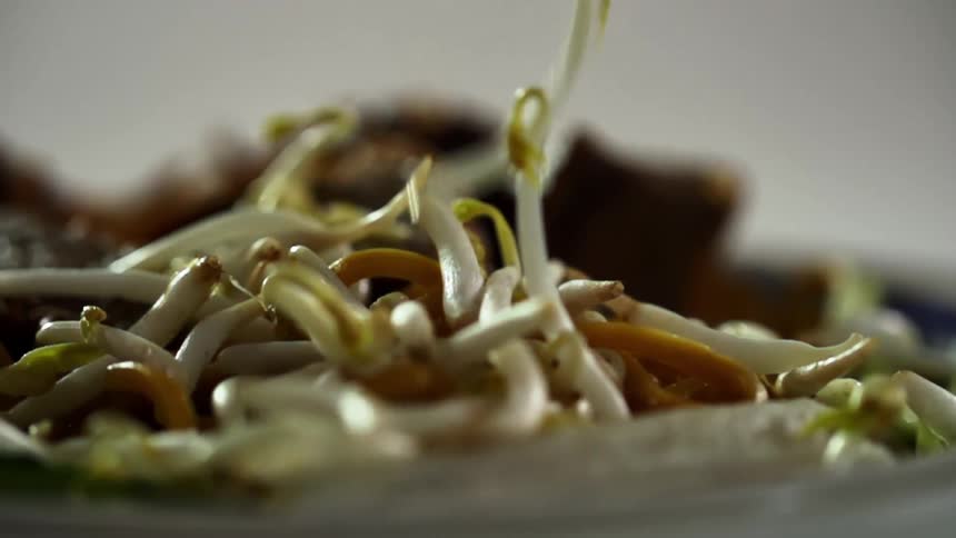 Bean sprouts falling on a dish for a photo shoot