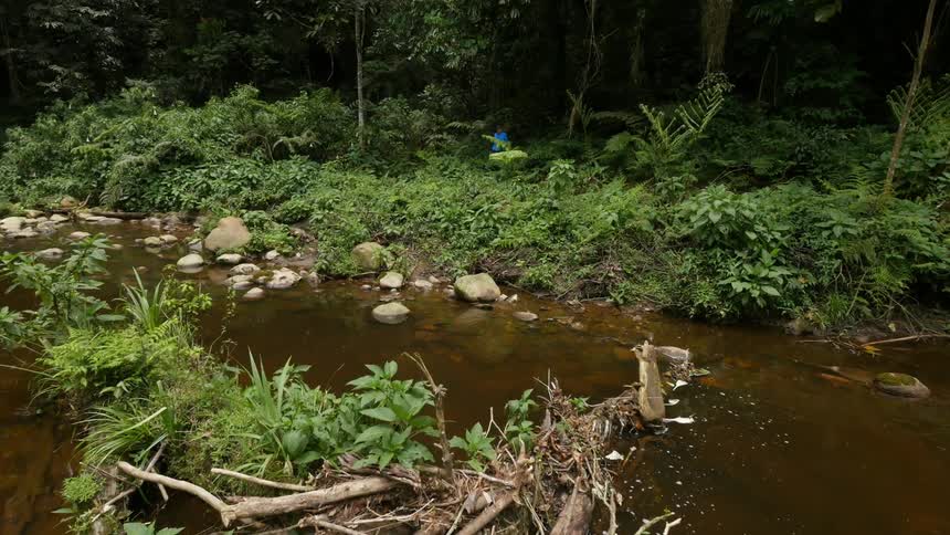Passing over a stream to see a man taking photographs on the other side