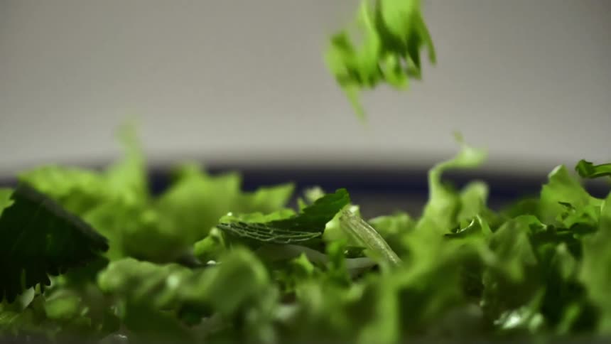 Lettuce falling
