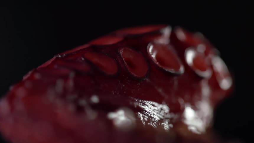 A severed tentacle of an octopus falls onto a dark surface