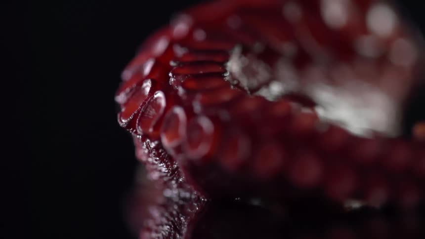Close up of cooked red octopus tentacle falling onto a reflective surface