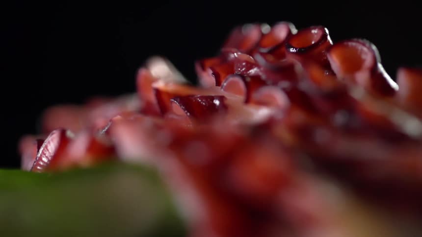 Cooked octopus tentacle on green against a black background