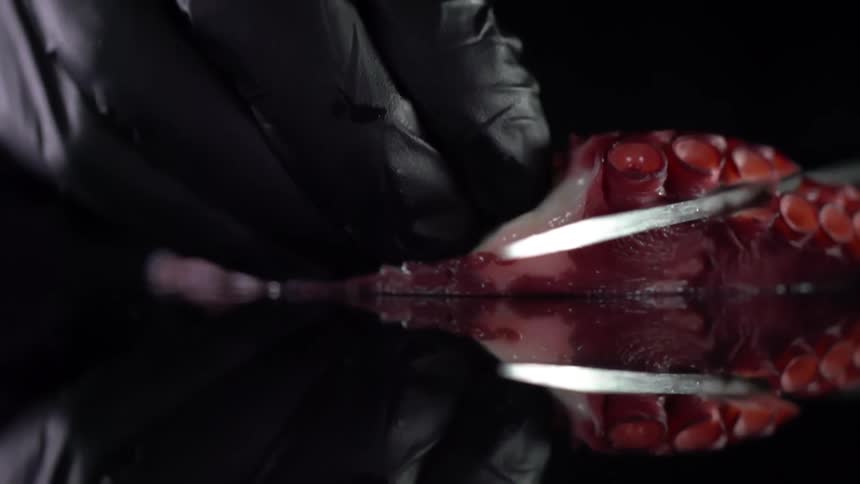 Cook with black gloves cuts octopus tentacle in studio