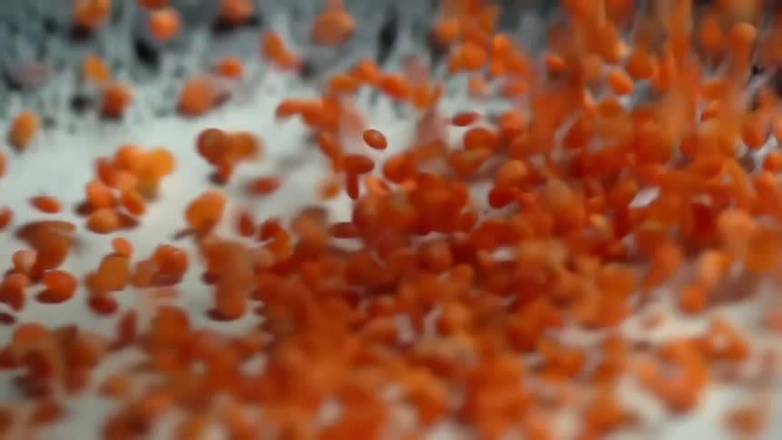 Lentils falling into a dish